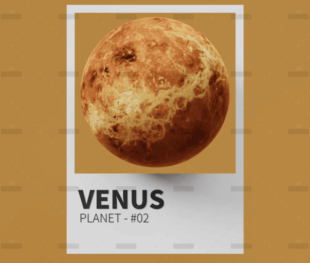 demo-attachment-2178-photo_01